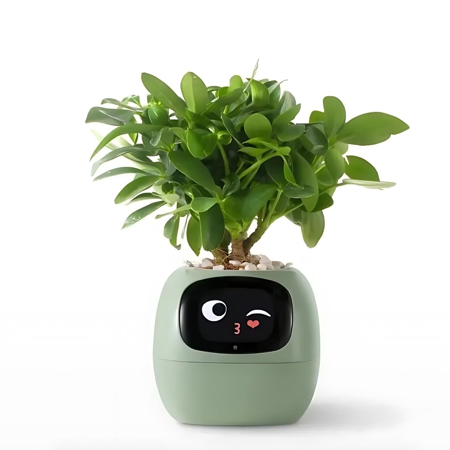 Intelligent Blomkruka med Automatiskt Bevattningssystem