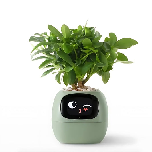 Intelligent Plantepotte med Automatisk Vandingssystem