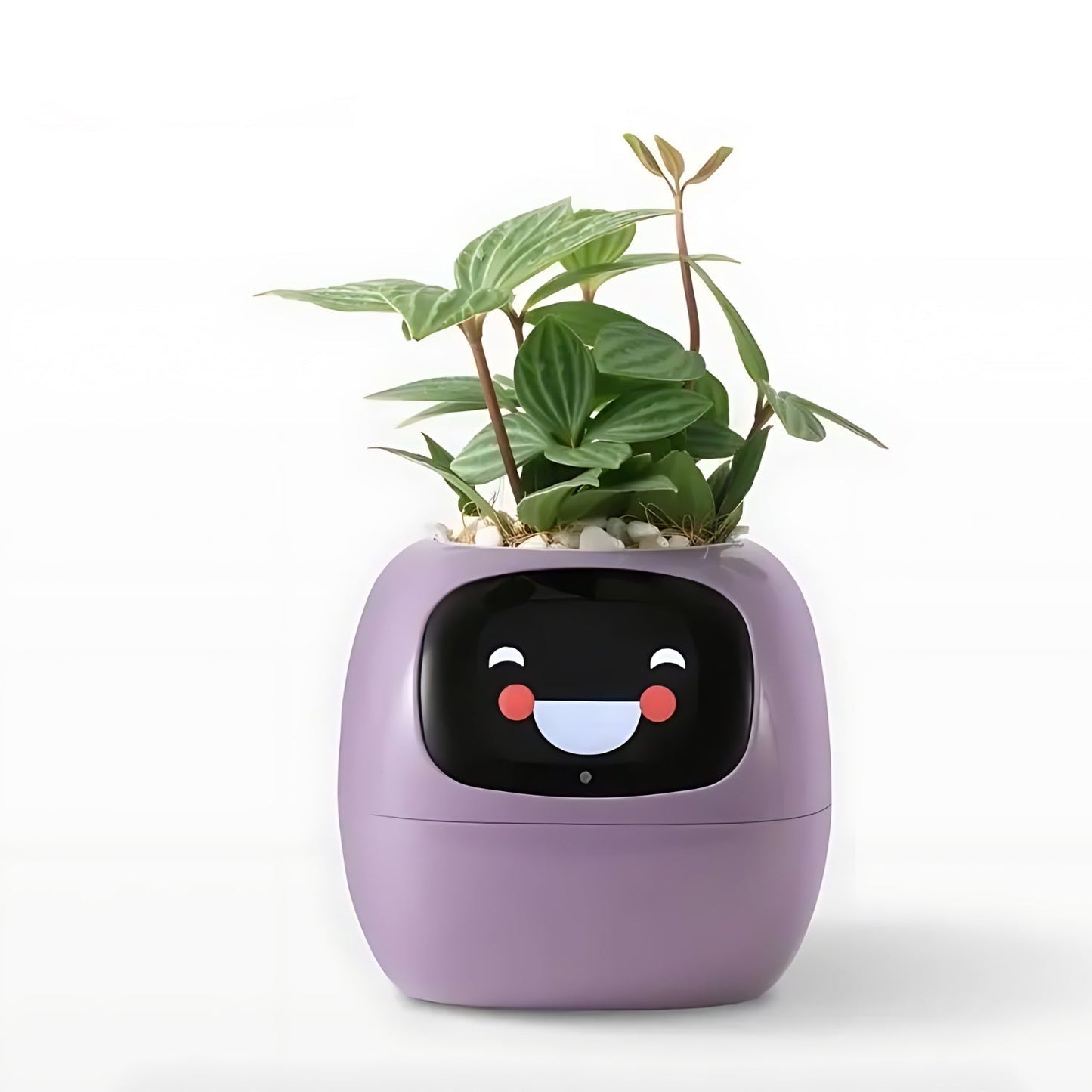 Intelligent Blomkruka med Automatiskt Bevattningssystem