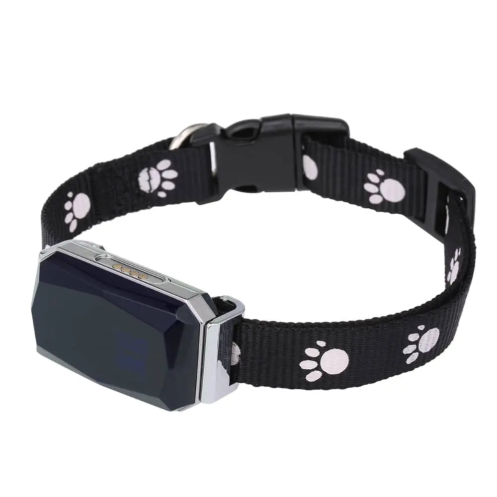Vattentätt GPS-halsband för säker övervakning av din hund