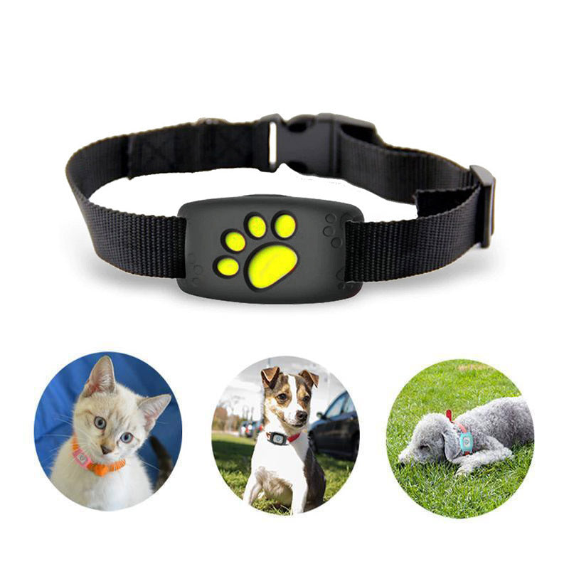 Intelligent GPS-halsbånd til små hunde og katte