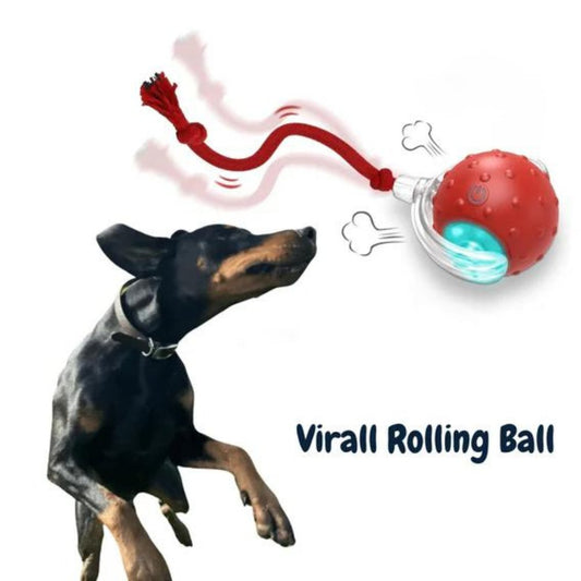ChewRoll • Vågad legend för tuggkul