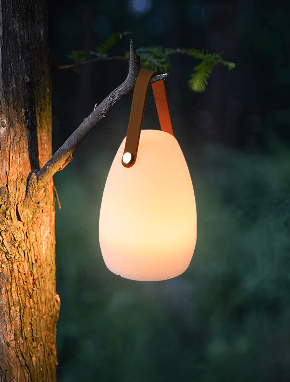 Genopladelig LED Udendørslampe med 16 Farver & Fjernbetjening