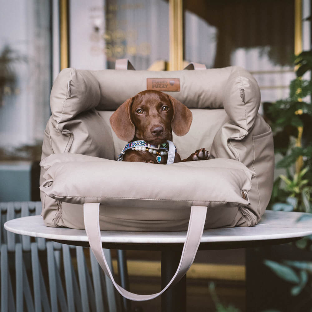 Bekväm hundbilsstol – PawsitiveRide