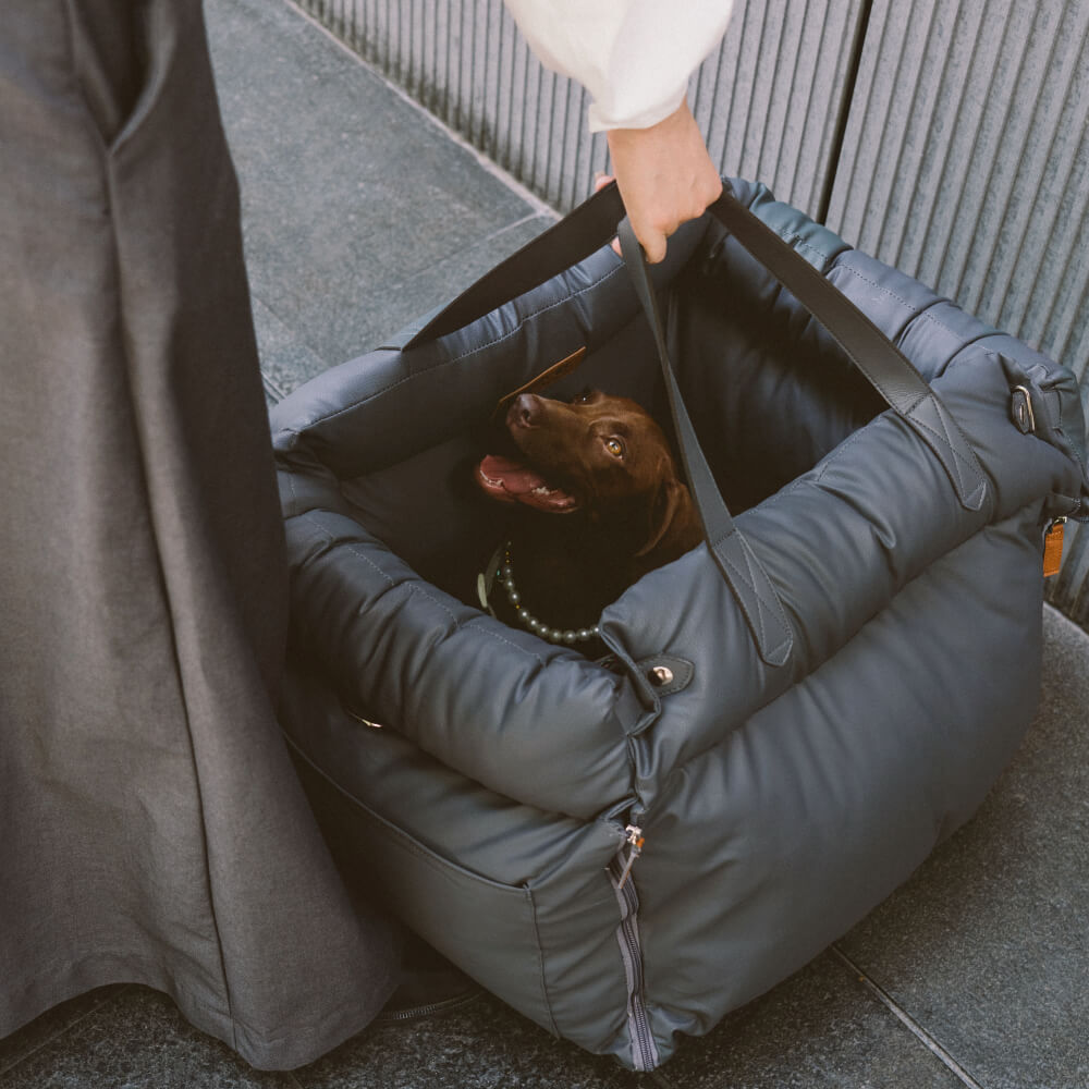 Bekväm hundbilsstol – PawsitiveRide