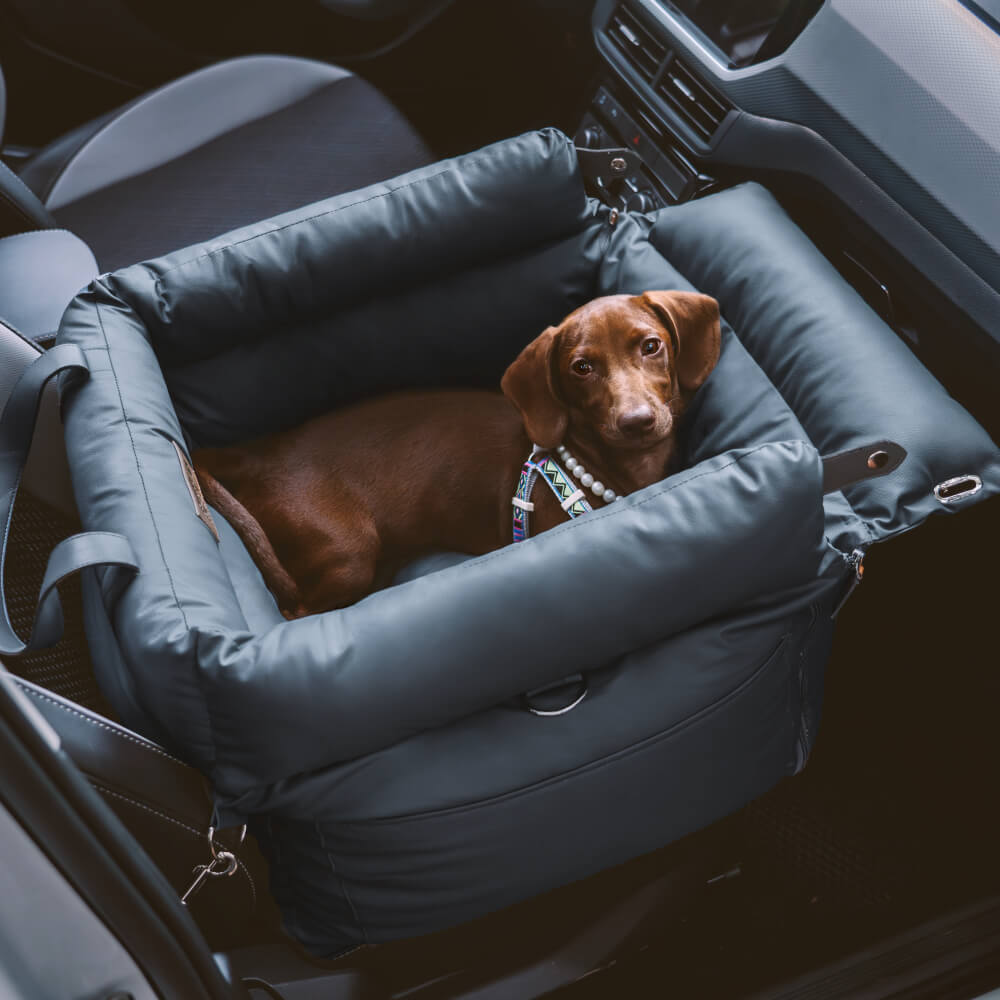 Bekväm hundbilsstol – PawsitiveRide