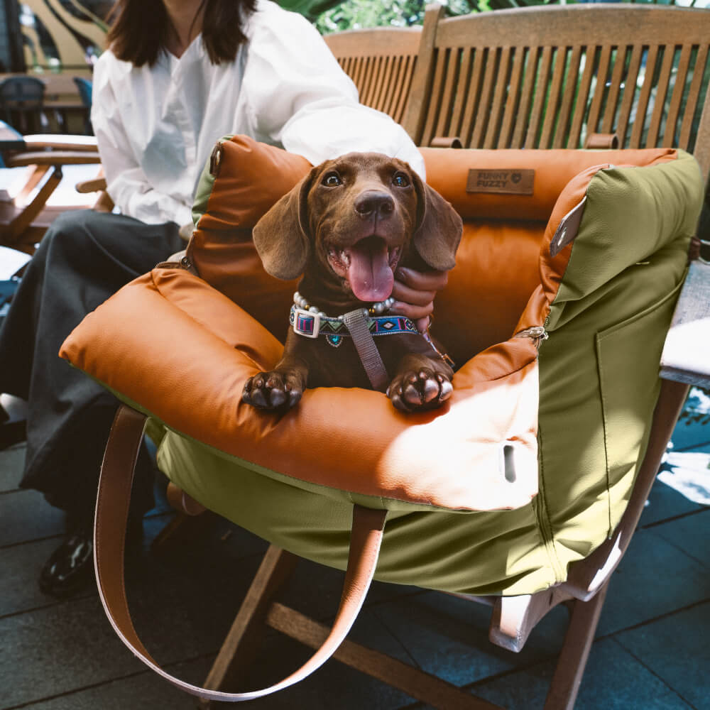 Bekväm hundbilsstol – PawsitiveRide