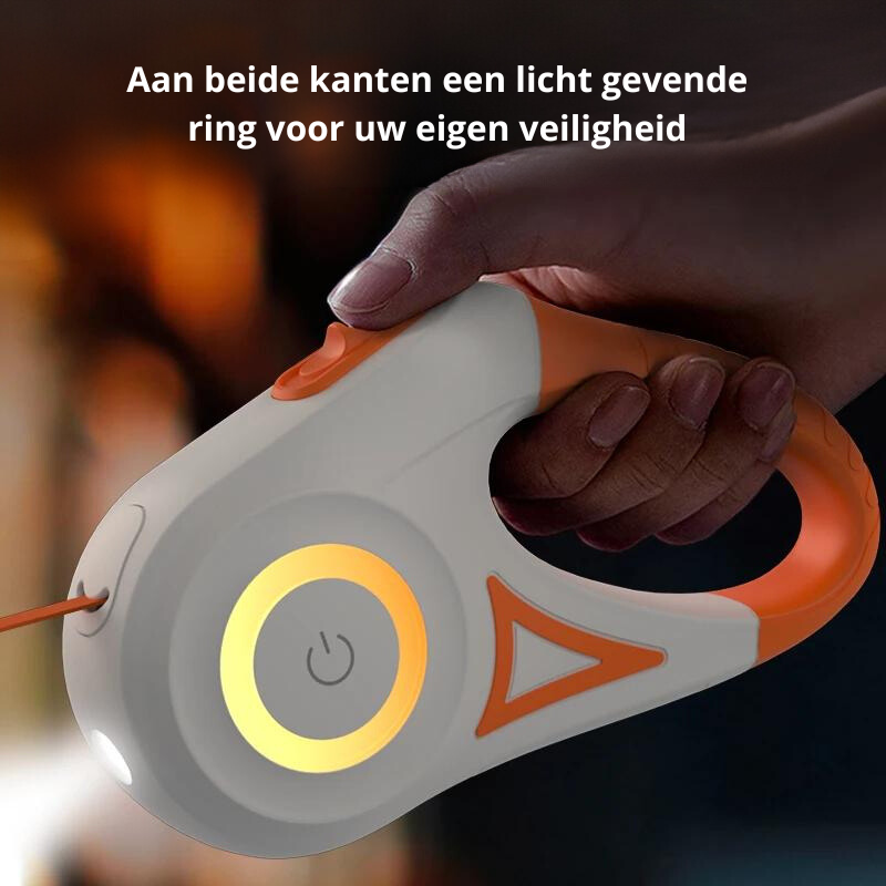 Lysende hundehalsbånd med lygte – GlowGuard