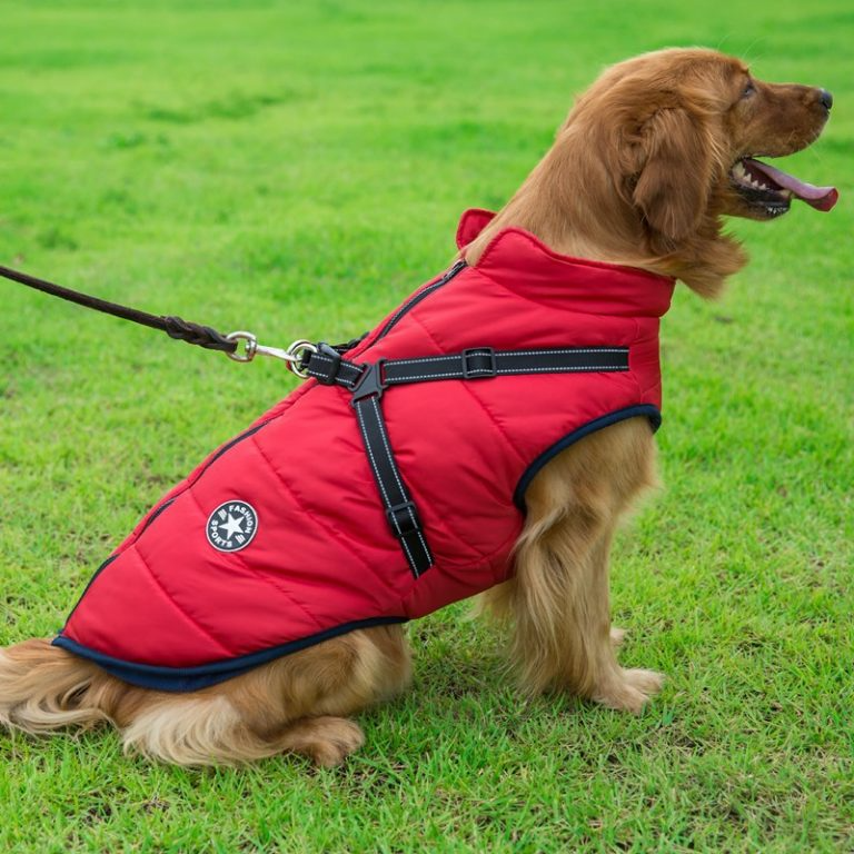 Varme og Vandtæt Vinterjakke til Hunde med Seler