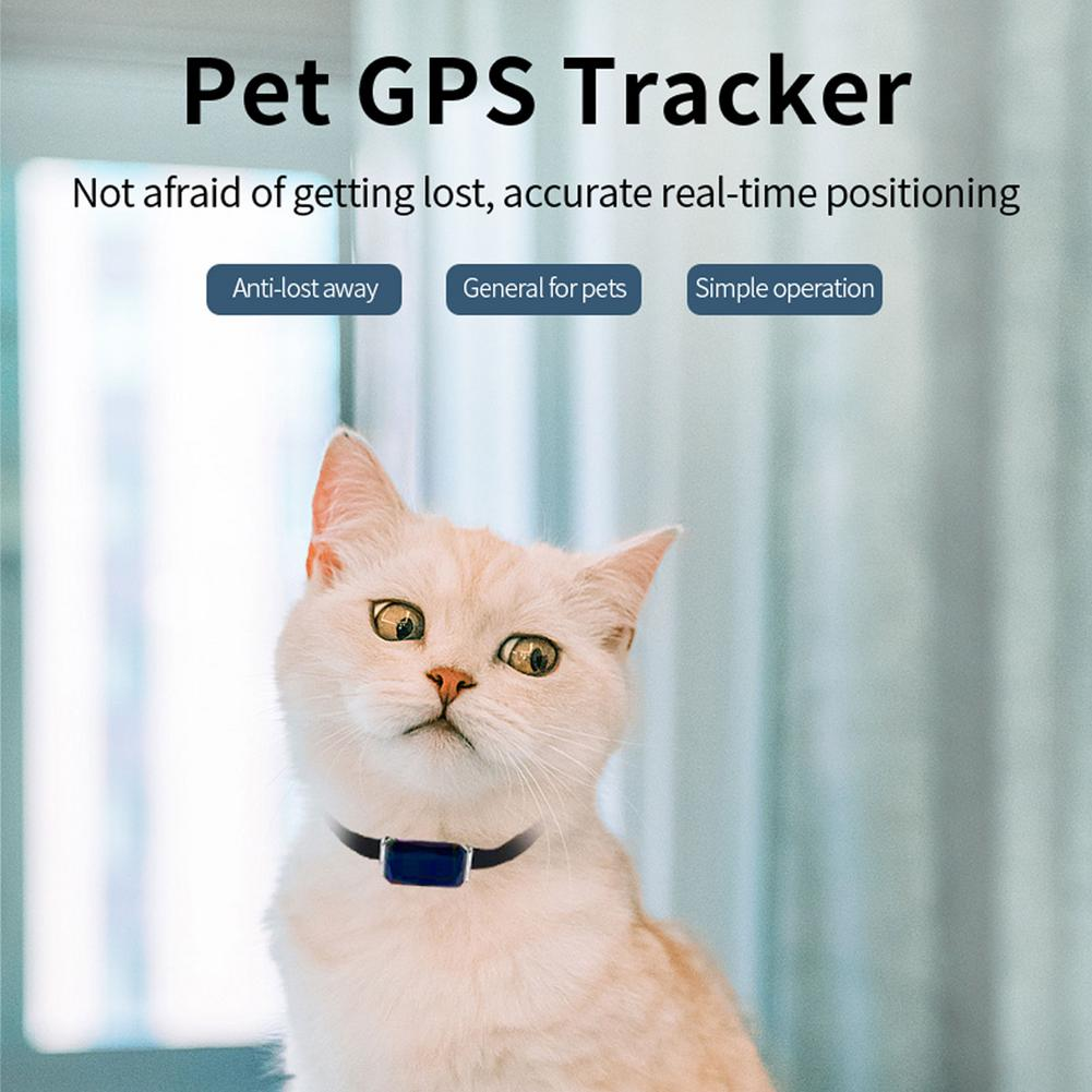 Mini GPS-tracker för hund och katt med vattentät design och anti-bortsprungen-larm