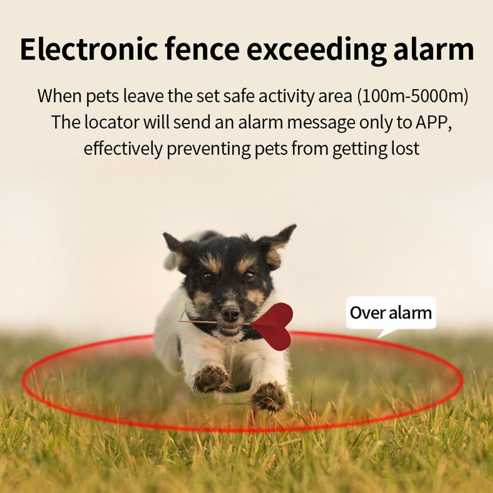 Mini GPS-tracker för hund och katt med vattentät design och anti-bortsprungen-larm