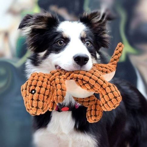 Hållbar Hundplyschleksak - Perfekt för Aktiva Hundar