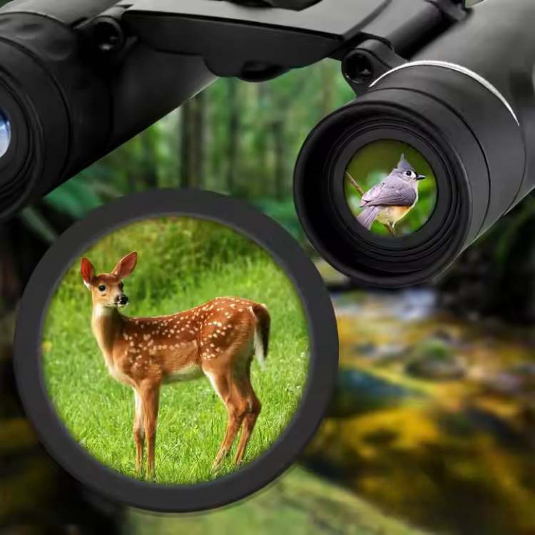 40x22 HD Kikkert til Fuglekik med Lang Rækkevidde