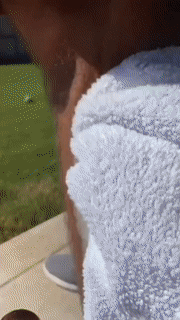 Schaum Spray zur Haarentfernung