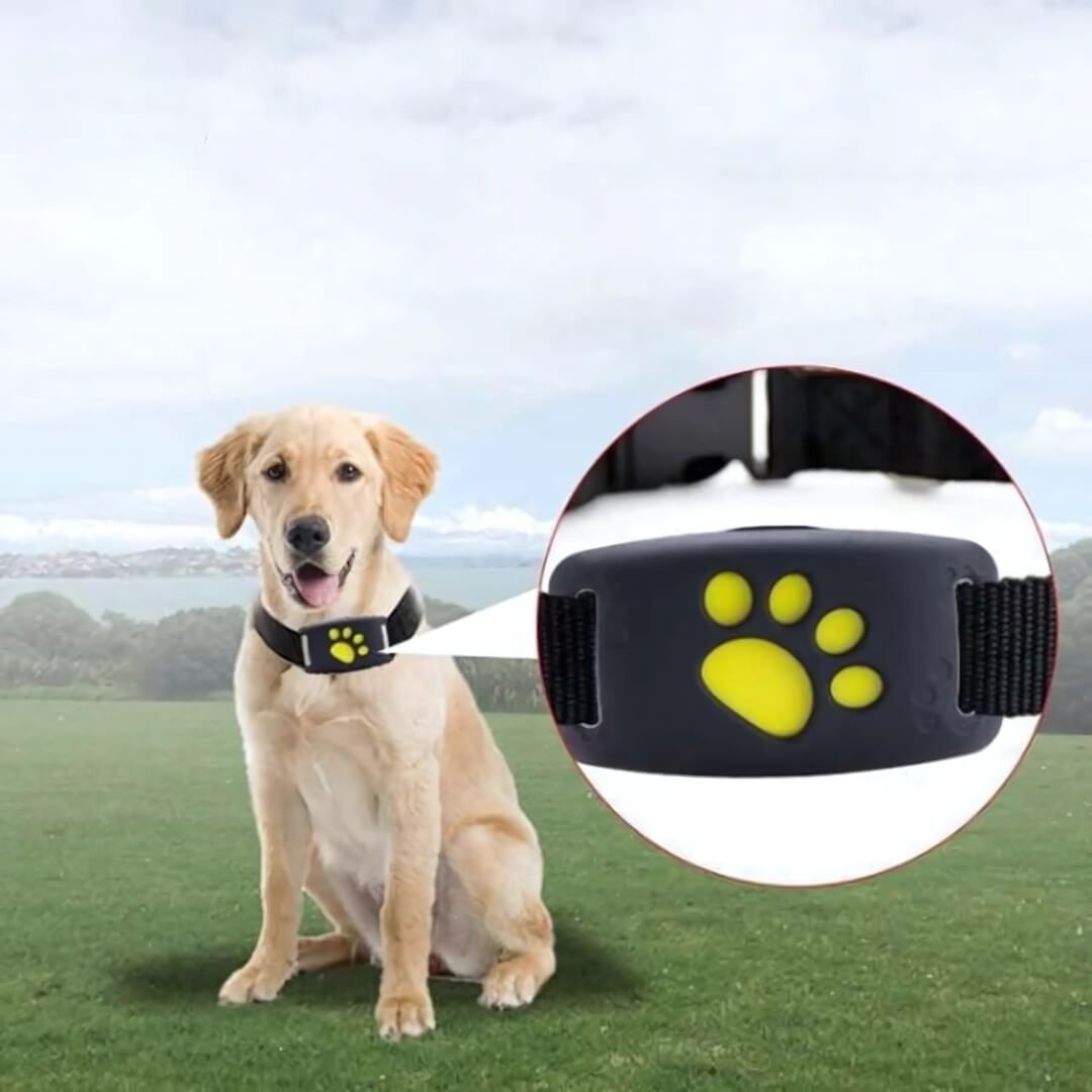FindMyDog GPS Tracker – Real-Time Overvågning med Sikkerhedszone og 300 Timer Batteri