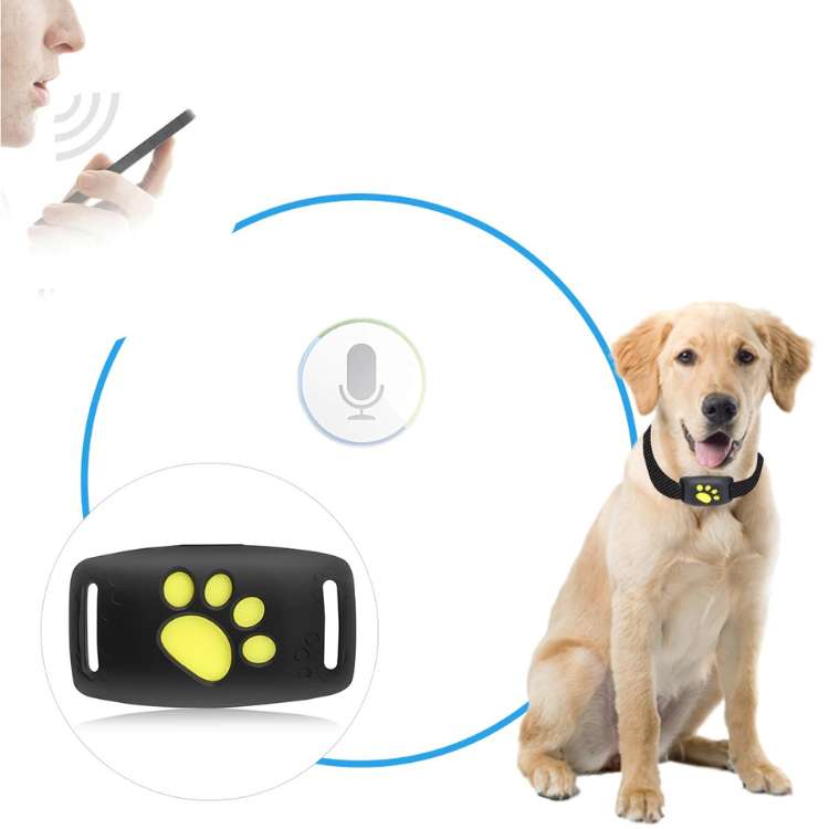 FindMyDog GPS Tracker – Real-Time Overvågning med Sikkerhedszone og 300 Timer Batteri
