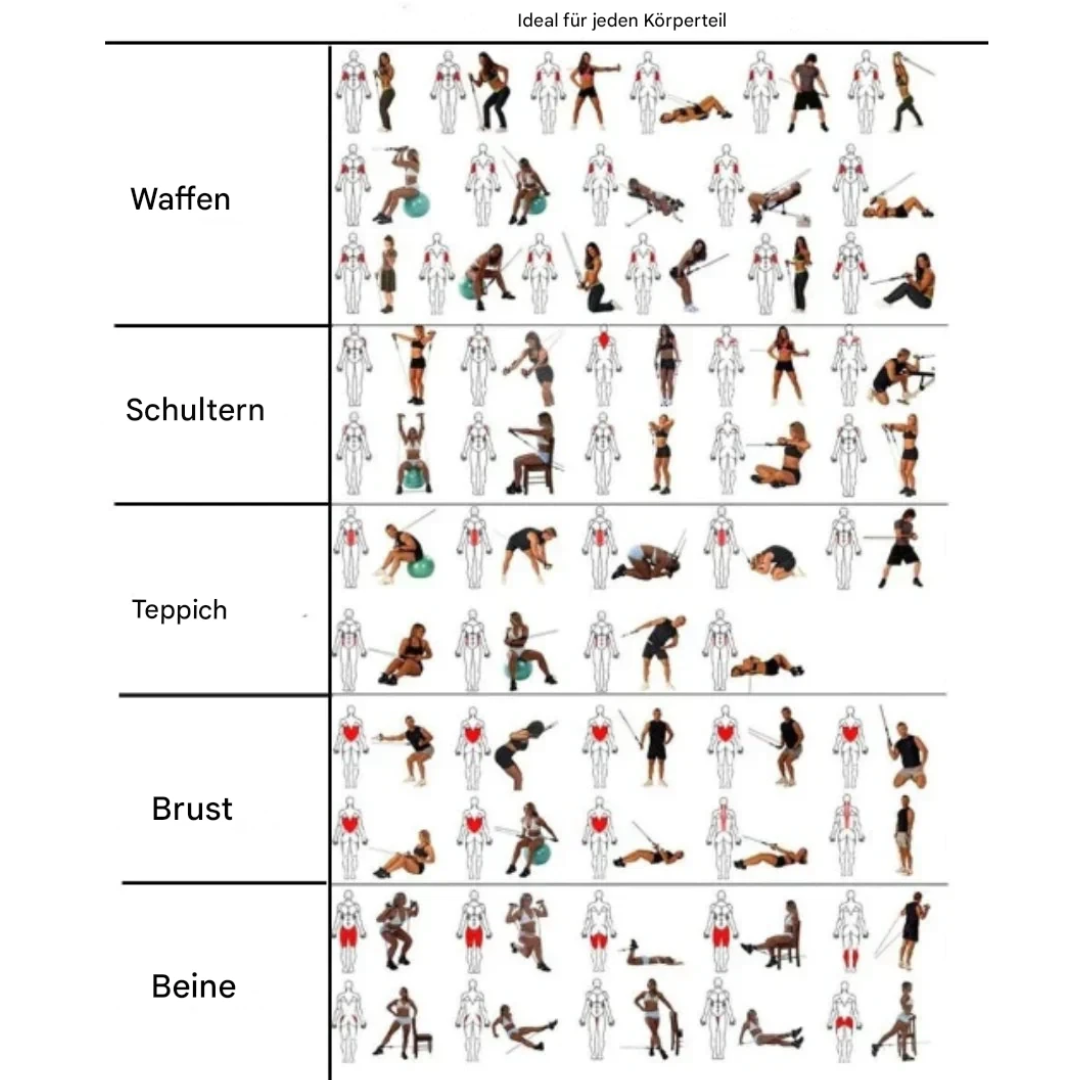 Modular Træningsbånd – FitFlex