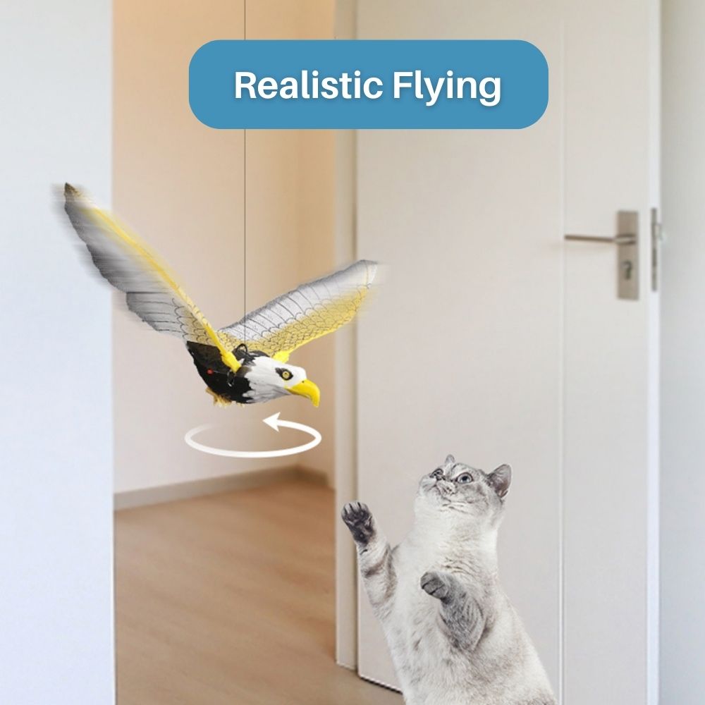 Interaktiv kattleksak för lek och motion – Fjäderflygning