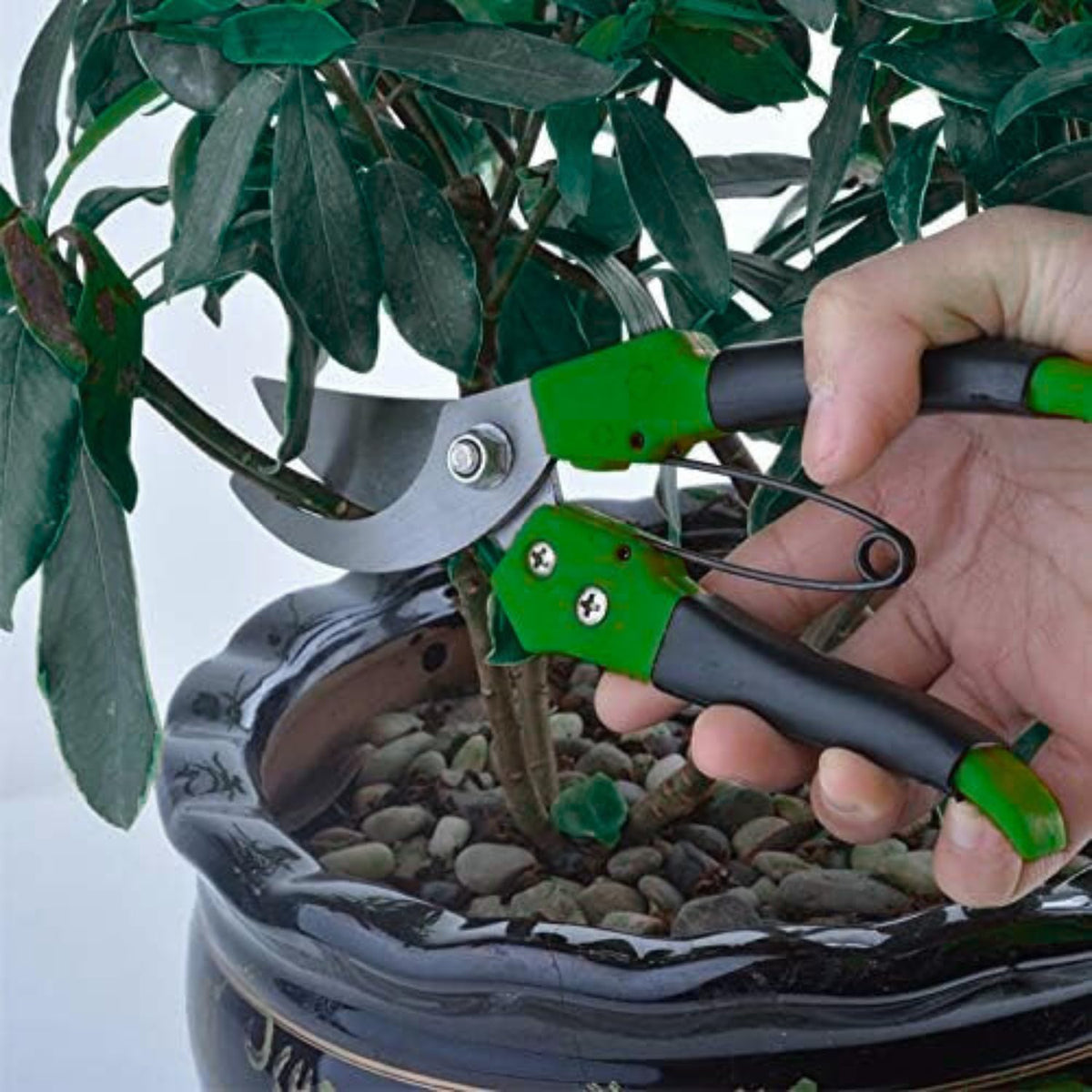 Precisionshäcksax i kolstål med mjukt handtag – Non-stick-blad för blommor, buskar och grenar