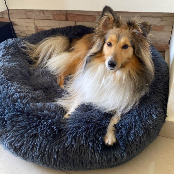 Blødt Hundeseng til Optimal Hvile - Vaskbar Hundepude