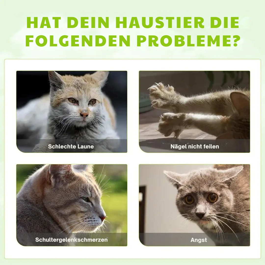 Beroligende Spray til Katte - Blissful Vine Mist