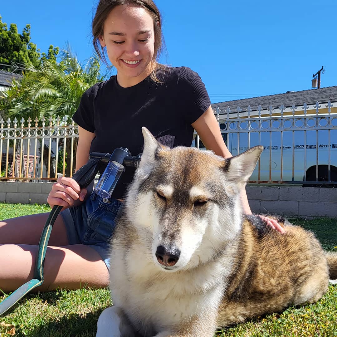 Effektiv brusepray til hunde - PetShower Pro