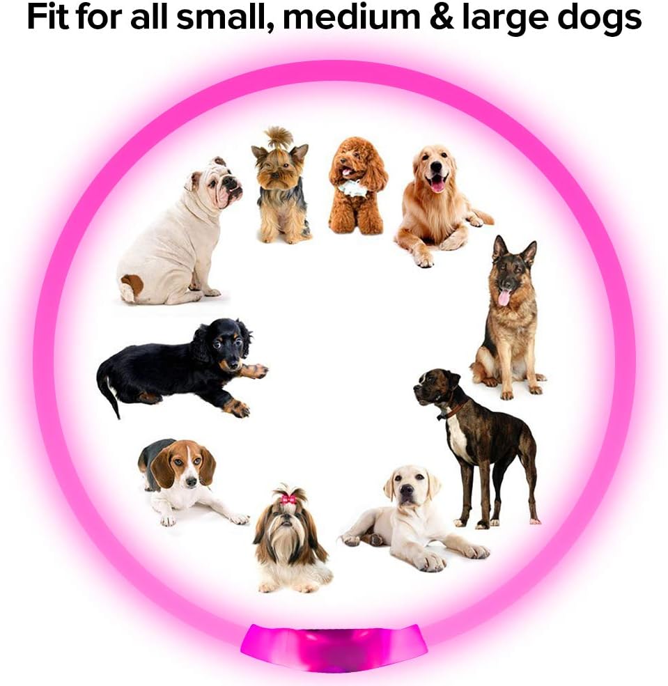 GlowSafe LED Hundhalsband – Uppladdningsbart USB Säkerhetsljus