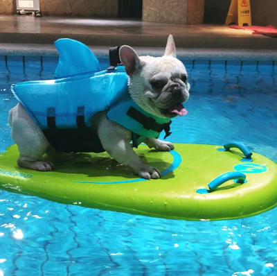 Redningsvest til hunde - AquaPup