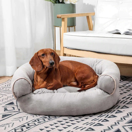 Ortodontal Hundesofa med Blødt Polstring - CalmPaw Sofa