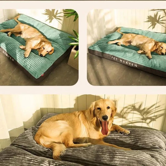 Ortodontal Hundeseng med Aftageligt Betræk - SnuggleRest