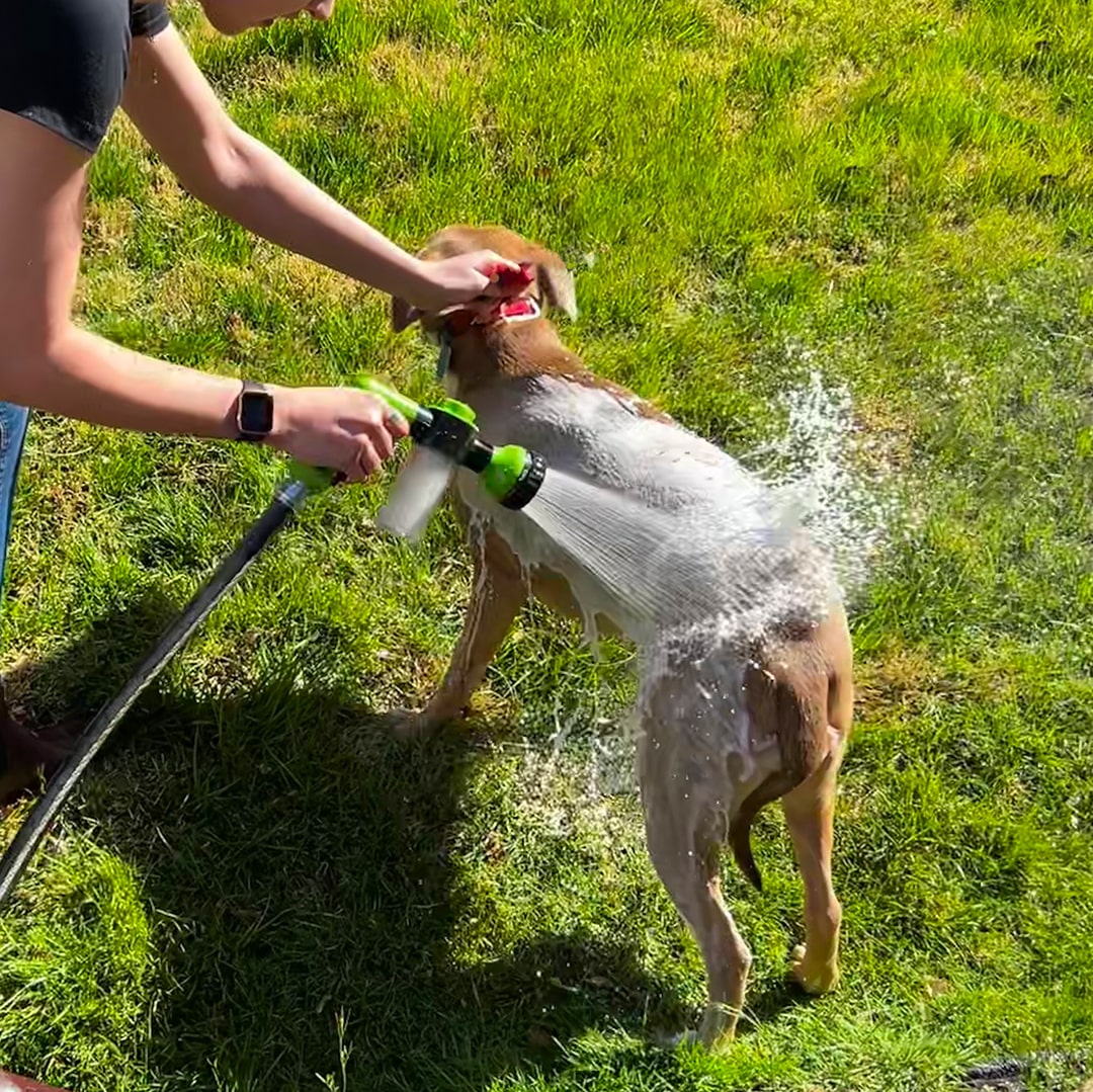 Effektiv brusepray til hunde - PetShower Pro