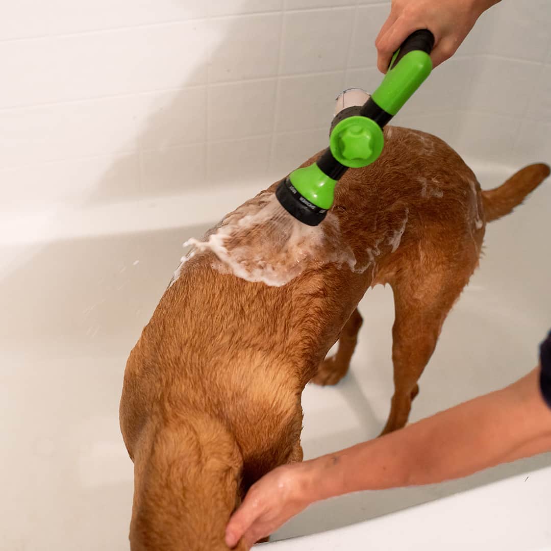 Effektiv brusepray til hunde - PetShower Pro