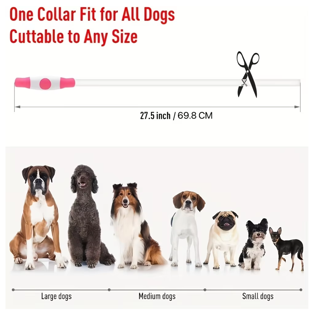 GlowSafe LED Hundhalsband – Uppladdningsbart USB Säkerhetsljus