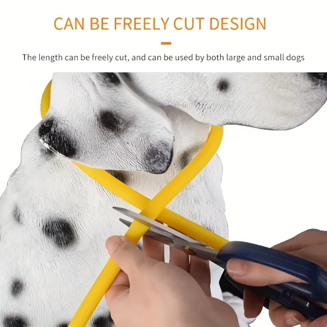 GlowSafe LED Hundhalsband – Uppladdningsbart USB Säkerhetsljus