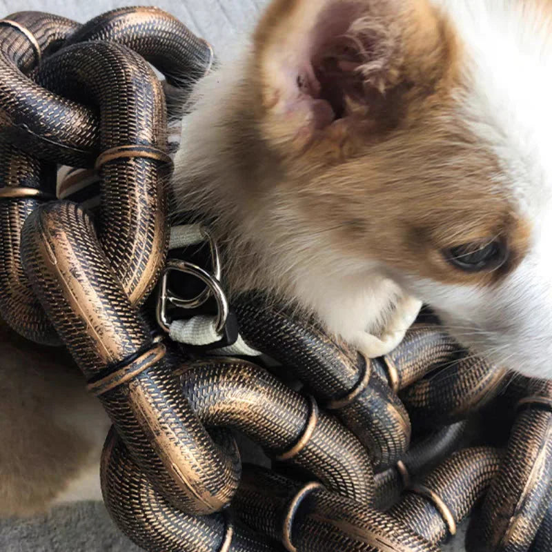Farverig og Sjov Hundesele