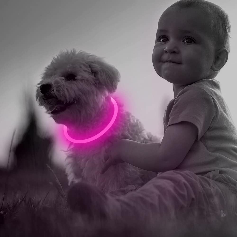 GlowSafe LED Hundhalsband – Uppladdningsbart USB Säkerhetsljus