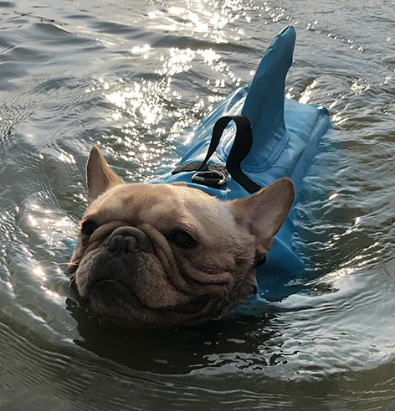 Redningsvest til hunde - AquaPup