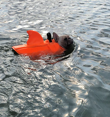 Redningsvest til hunde - AquaPup