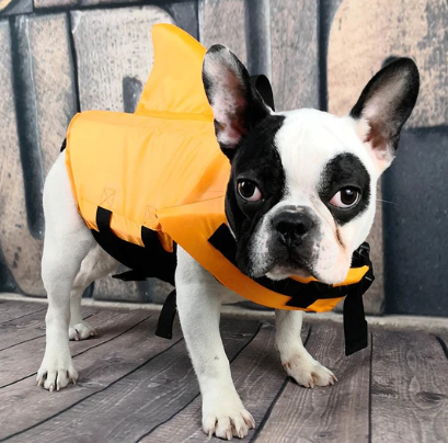 Redningsvest til hunde - AquaPup