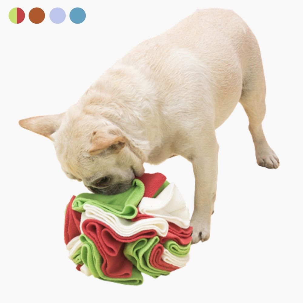 Snuffle Bold til Hunde - PawMaze