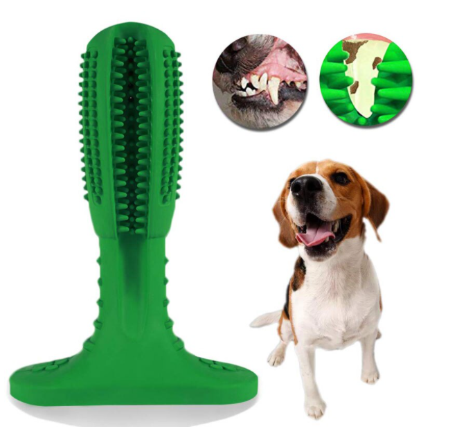 Tandborste för hundar - PawsitiveBrush