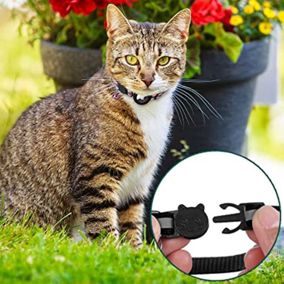 Katthalsband med GPS-hållare och Reflekterande Design