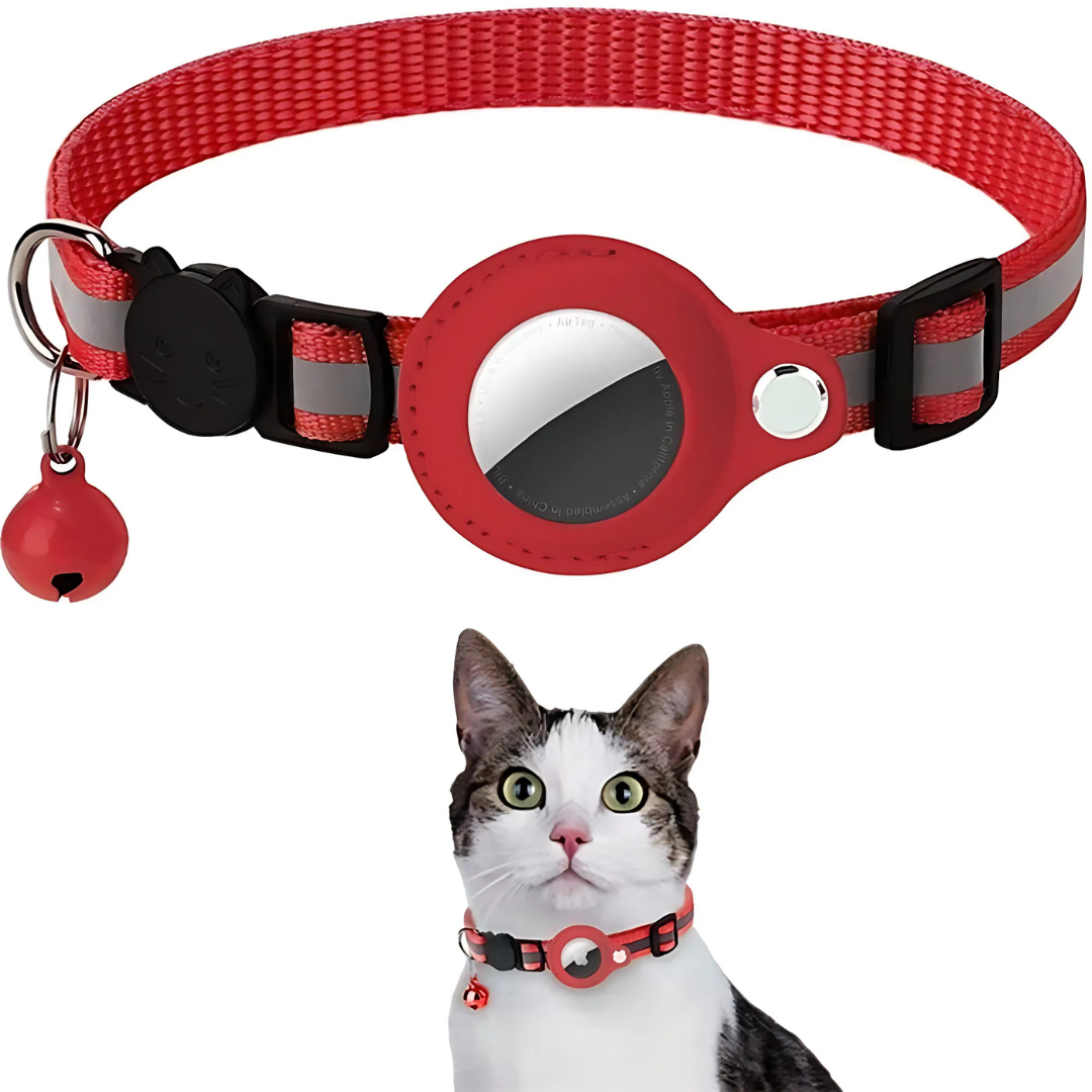 Katthalsband med GPS-hållare och Reflekterande Design