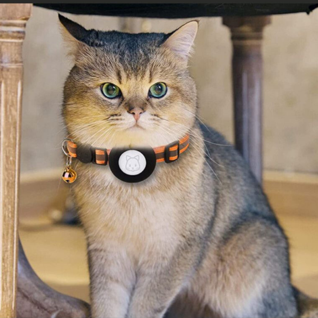 Katthalsband med GPS-hållare och Reflekterande Design