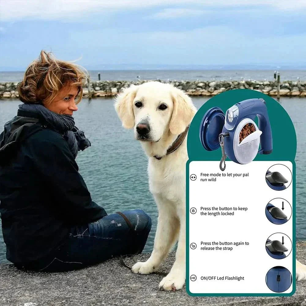 Justerbar hundesele för säkerhet och komfort