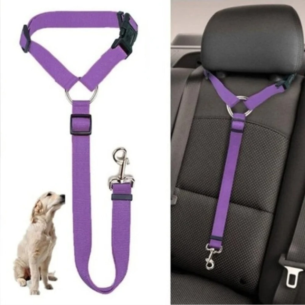 Säkerhetssele för hund i bilen