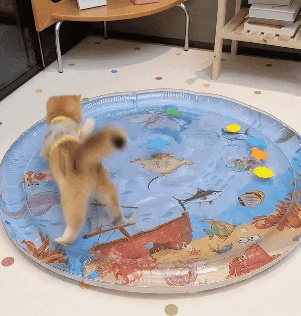 Interaktiv Legemåtte til Katte – KatteAktiv