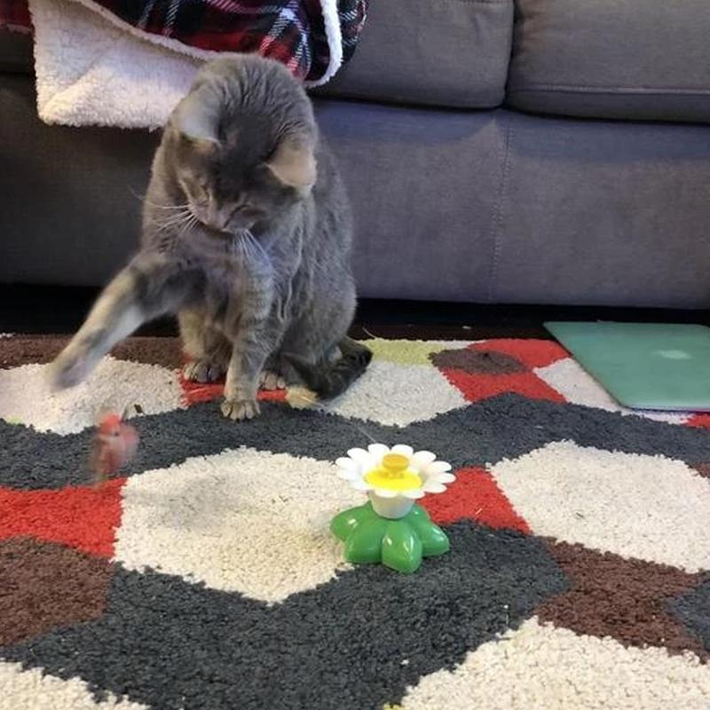 Interaktivt kattelegetøj – Purrfect Leg