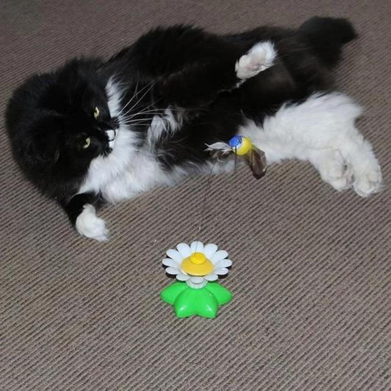 Interaktivt kattelegetøj – Purrfect Leg