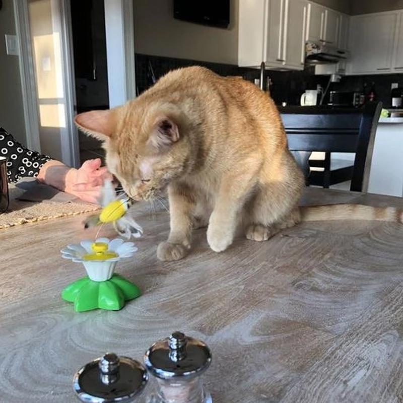 Interaktivt kattelegetøj – Purrfect Leg